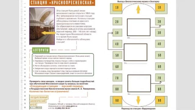 Видеодоклад «Занятие-квест «Следующая станция – юрский период» смотреть онлайн