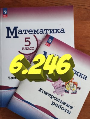 математика 5 класс номер 6.246