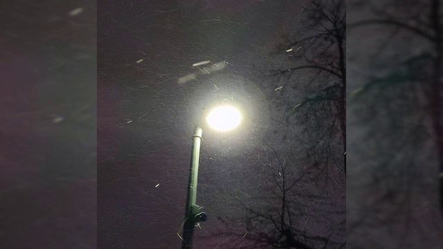 душевные терзания-белая ночь(Форум кавер Салтыков) смотреть онлайн