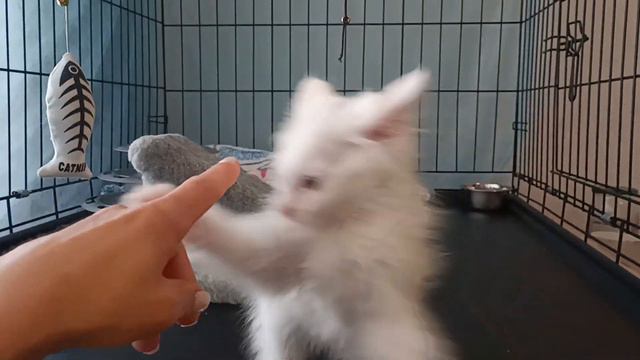 🌐 Краснодар. Ищу семью