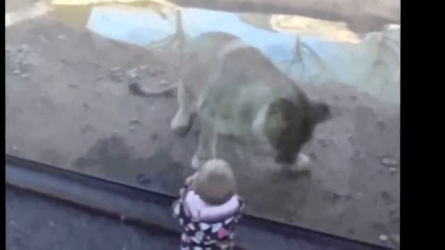 Дети в зоопарке! смотреть онлайн