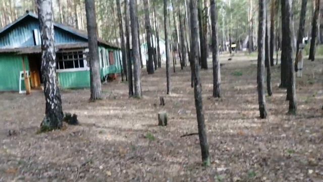 2 заброшенных лагеря|"Орлёнок,, "Чайка,,|Паранил руку смотреть онлайн