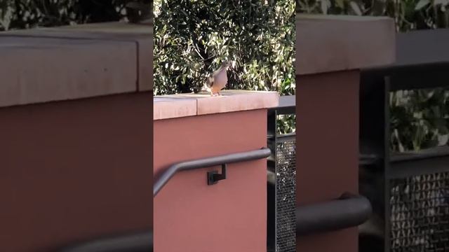 Мне одному тут хорошо смотреть онлайн