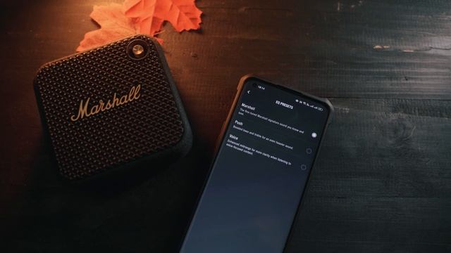 Marshall WILLEN Review | VS Tribit stormbox Micro смотреть онлайн
