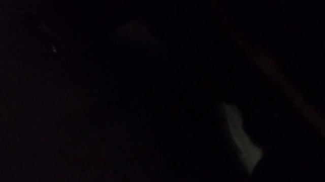 ℹ️ How to: Stop Car, SUV, Truck Engine oil leaks for $9? - Lucas Engine Oil Stop Leak смотреть онлайн