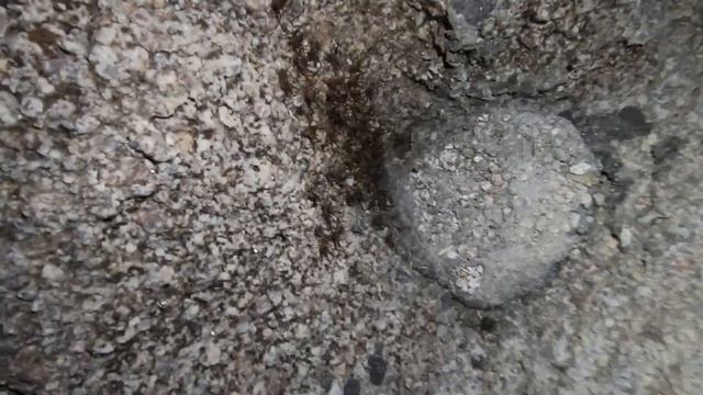 探索至今仍是未解之谜的古代遗迹 |游玩地探索 смотреть онлайн