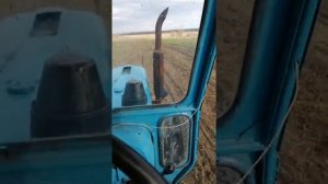 Сеем эспарцет на сено.