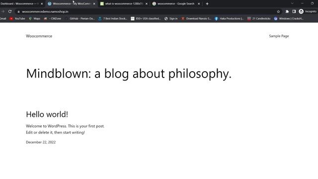 What need to be start creating a Ecommerce website in WordPress (हिंदी) смотреть онлайн