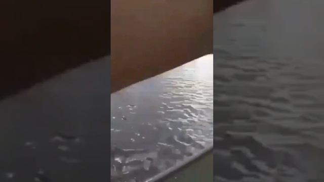 Лягушка для рыбалки, подписываемся в наш телеграм канал https://t.me/aloner1991 смотреть онлайн