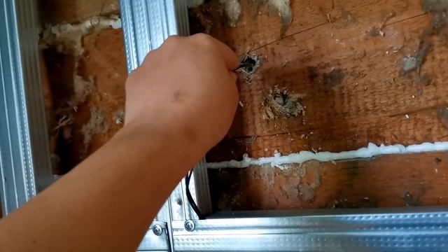 К Стоматологу, Я Довольна/Что Подарить Мужу?? Обсуждаем с Владом/Гуляем С Алексой/29.06.21 смотреть онлайн