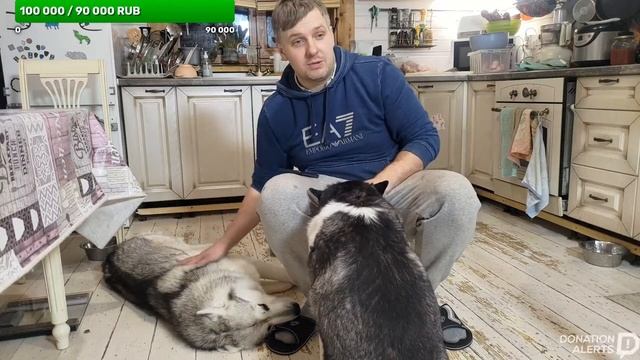 взвешиваем хаски и ищем самую легкую смотреть онлайн