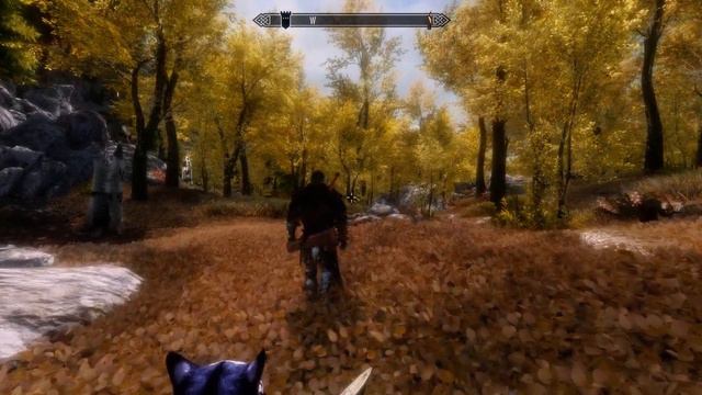 Skyrim SE Riften forest смотреть онлайн