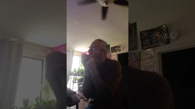 Whiter shade of Pale...Procol Harum. harmonica cover Steve dielenhein смотреть онлайн