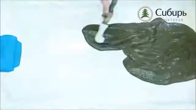 Реклама санатория Сибирь! смотреть онлайн