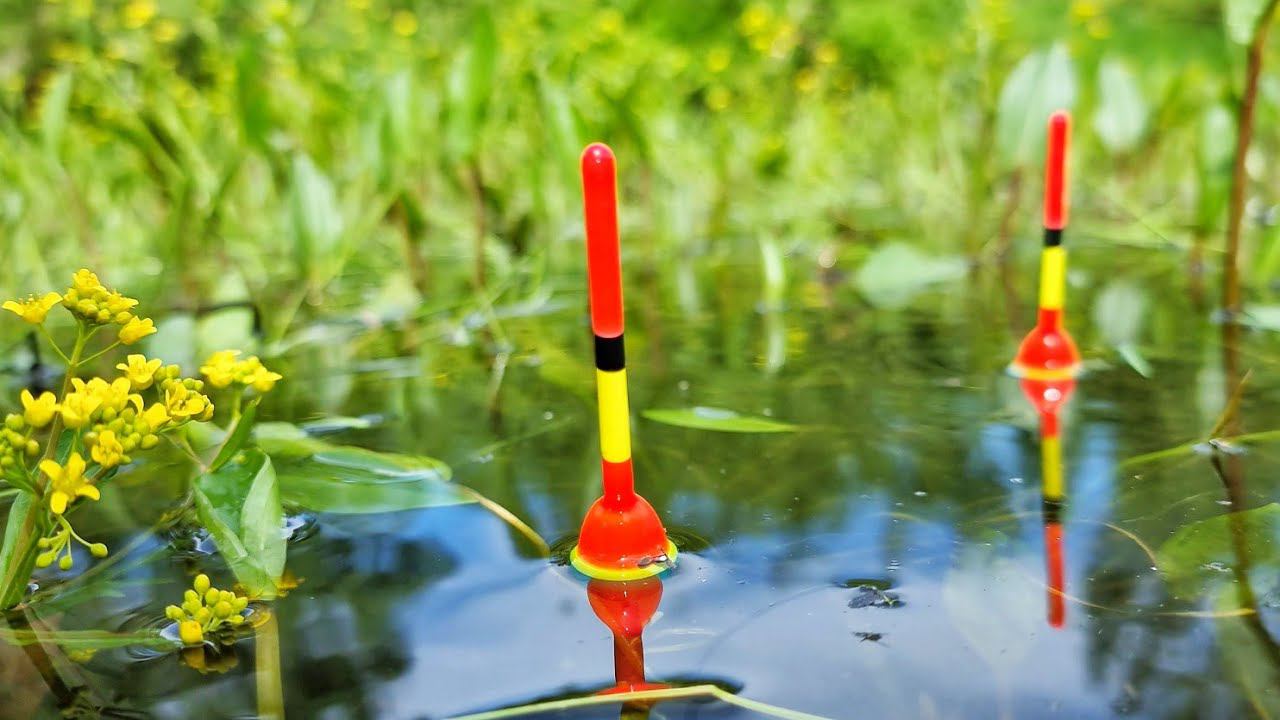 ЛЕСНАЯ ЛУЖА ПОЛНА КАРАСЯ! НАШЁЛ СЕКРЕТНОЕ МЕСТО ДЕДА И ОБЛОВИЛ! Рыбалка на поплавок смотреть онлайн