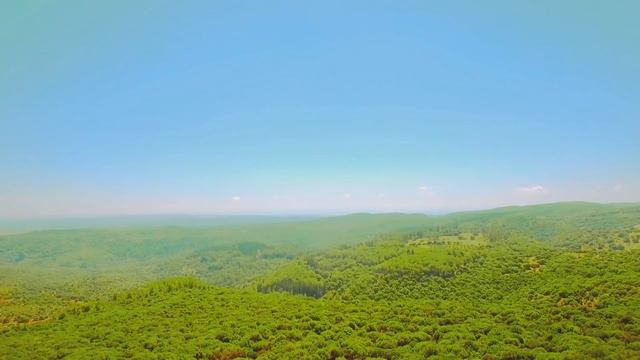 7 Facts You Need to Know About Haifa смотреть онлайн