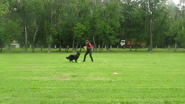 Попова Людмила грюнендаль Ева от Сольника смотреть онлайн