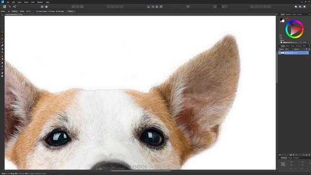 Remove A White Background with Affinity Designer смотреть онлайн
