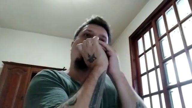 Hallelujah - Aleluia (Harmonica Tab - na gaita c/ tablatura na descrição) смотреть онлайн