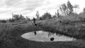 О пользе крыльев на велосипеде. Нужны или нет?