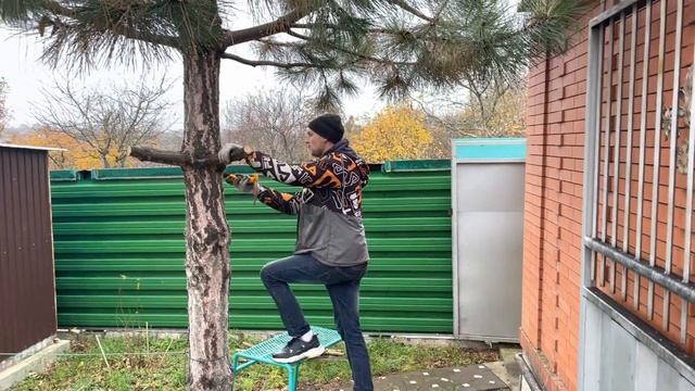 Питание французских бульдогов, дело самих бульдогов… смотреть онлайн