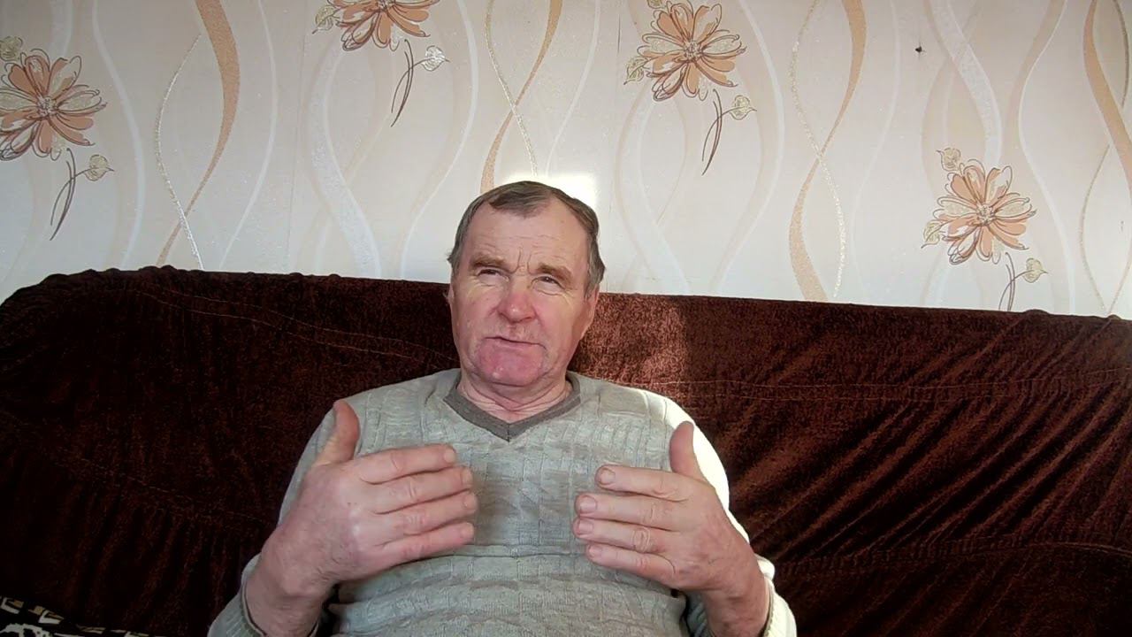 Повадки животных = поведение людей. смотреть онлайн