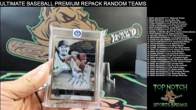 ULTIMATE BASEBALL RANDOM TEAMS REPACK смотреть онлайн
