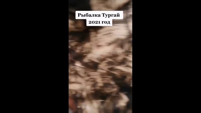 Я РЖАЛ ДО СЛЕЗ / ПРИКОЛЫ НА РЫБАЛКЕ 2021 / НОВЫЕ ПРИКОЛЫ НА РЫБАЛКЕ смотреть онлайн