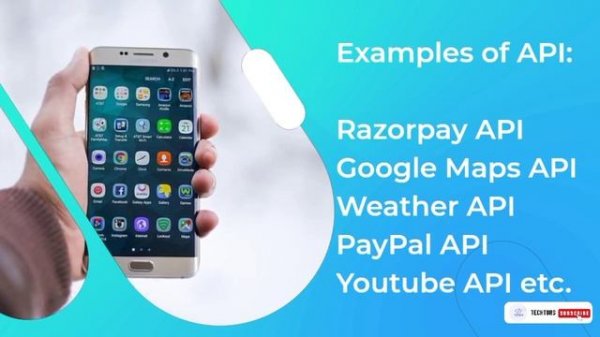 What is API -Application Programming Interface | Techtors