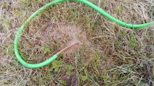 #Честный обзор#Дренажный насос для грязной воды- Oasis DN250/10,откачка и чистка  колодца.