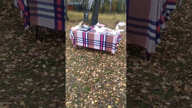 Осень. Холодает. Я на дачах, продаю вкусняшки.