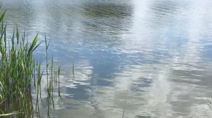 Где ловить рыбу в краснодарском крае?