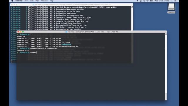 Tutorial 2: Contenedor de InterSystems IRIS con Docker Compose смотреть онлайн