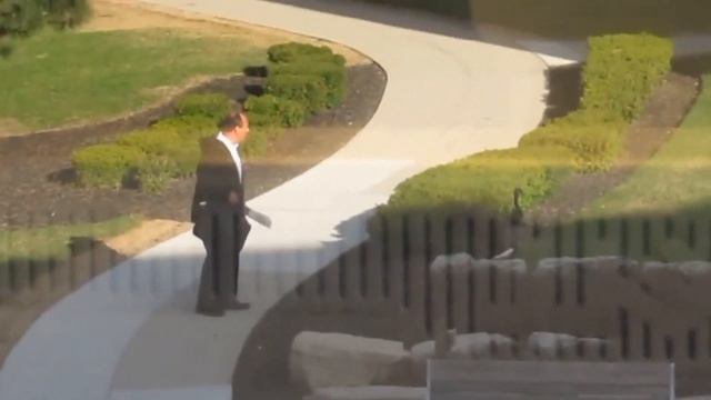 Helvetica Standard смотреть онлайн