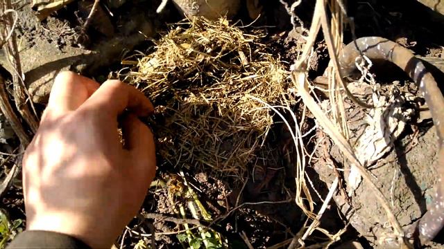 Раскрытие инжира, часть 2 смотреть онлайн