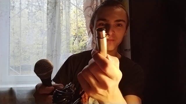 купил микрофон Ritmix RDM - 155 Black я доволен покупкой смотреть онлайн