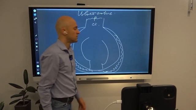Задачи о цветковых в ЕГЭ по биологии смотреть онлайн