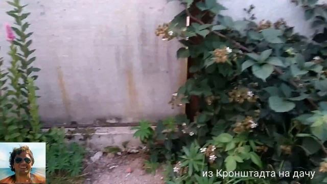 Все таки на дачу к родителям смотреть онлайн