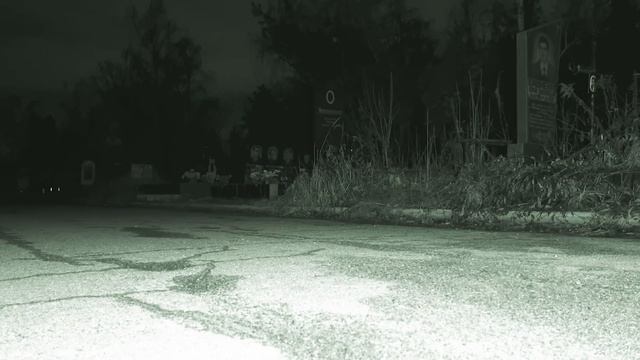 ЗАПИСАЛИ ГОЛОС ПРИЗРАКА. ОСТАВИЛА КАМЕРЫ НА КЛАДБИЩЕ В ЛЕСУ смотреть онлайн