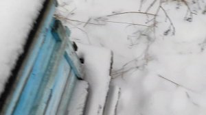 подкормкп пчел зимой сахарным сиропом