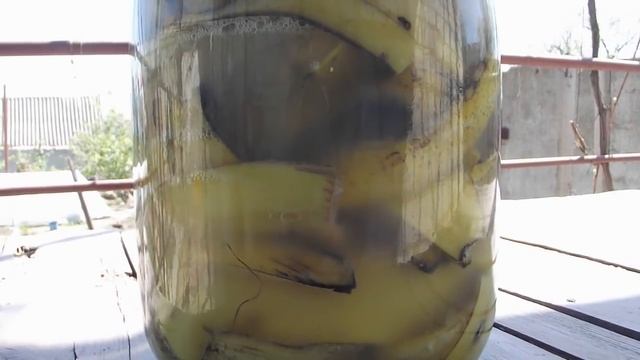 ГАРМОН РОСТА ДЛЯ РАССАДЫ ПЕРЦА ПОСЛЕ ВЫСАДКИ В ОТКРЫТЫЙ ГРУНТ БАНАНОВАЯ КОЖУРА +ЯИЧНАЯ СКОРЛУПА смотреть онлайн