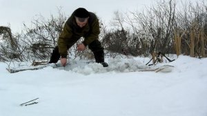 ловля бобров петлями 1