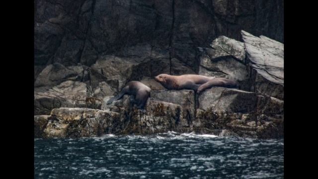 ПАРК КЕНАИ ФЬЕРДС (THE KENAI FJORDS NATIONAL PARK) смотреть онлайн