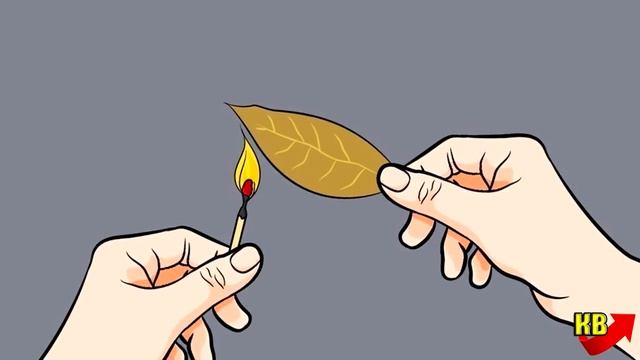 Что будет, если поджечь в доме лавровый лист. Попробуй и ты. смотреть онлайн