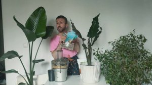 подкормка  для #спатифилум #стрелиция #фикус #филодендрон