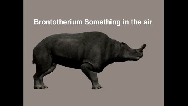 Brontotherium daz3d animation pz2 cgi poser model animated смотреть онлайн