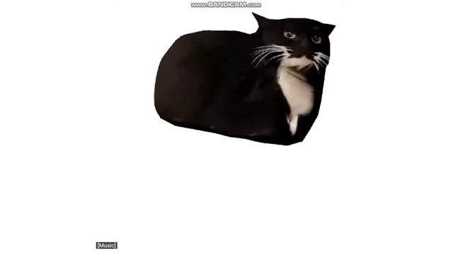 максвел кот. смотреть онлайн