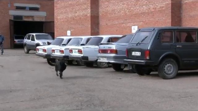 ДЕНЬ ОТКРЫТЫХ ДВЕРЕЙ В МО МВД 09.10.2017 смотреть онлайн