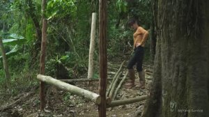 Несмотря на дождь, строительство деревянного убежища в дикой природе