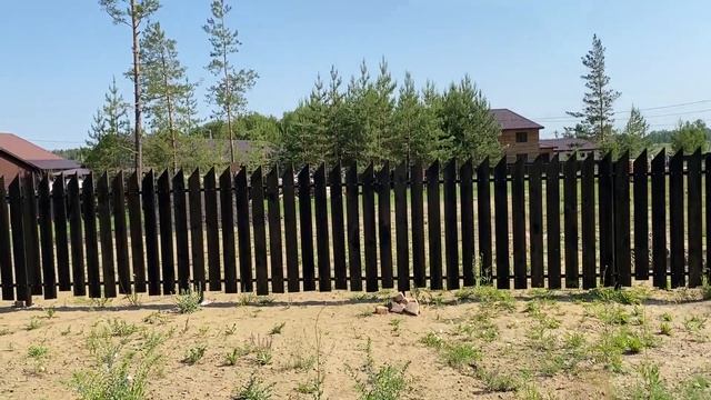 Лес за огородом. Наслаждаюсь красотой природы. смотреть онлайн